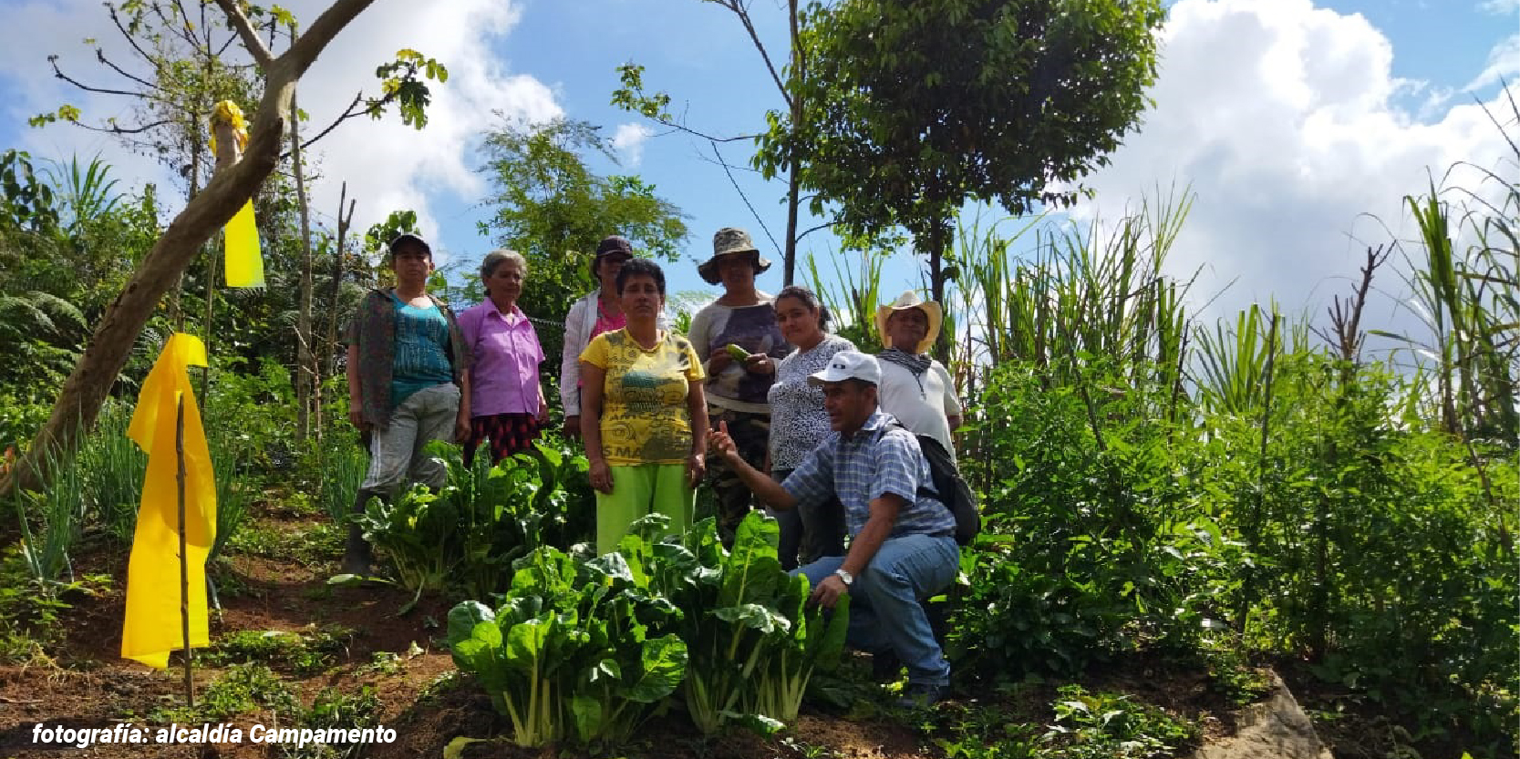 Umata de Campamento y Maná acompañan a 90 familias del municipio en implementación de huertas caseras
