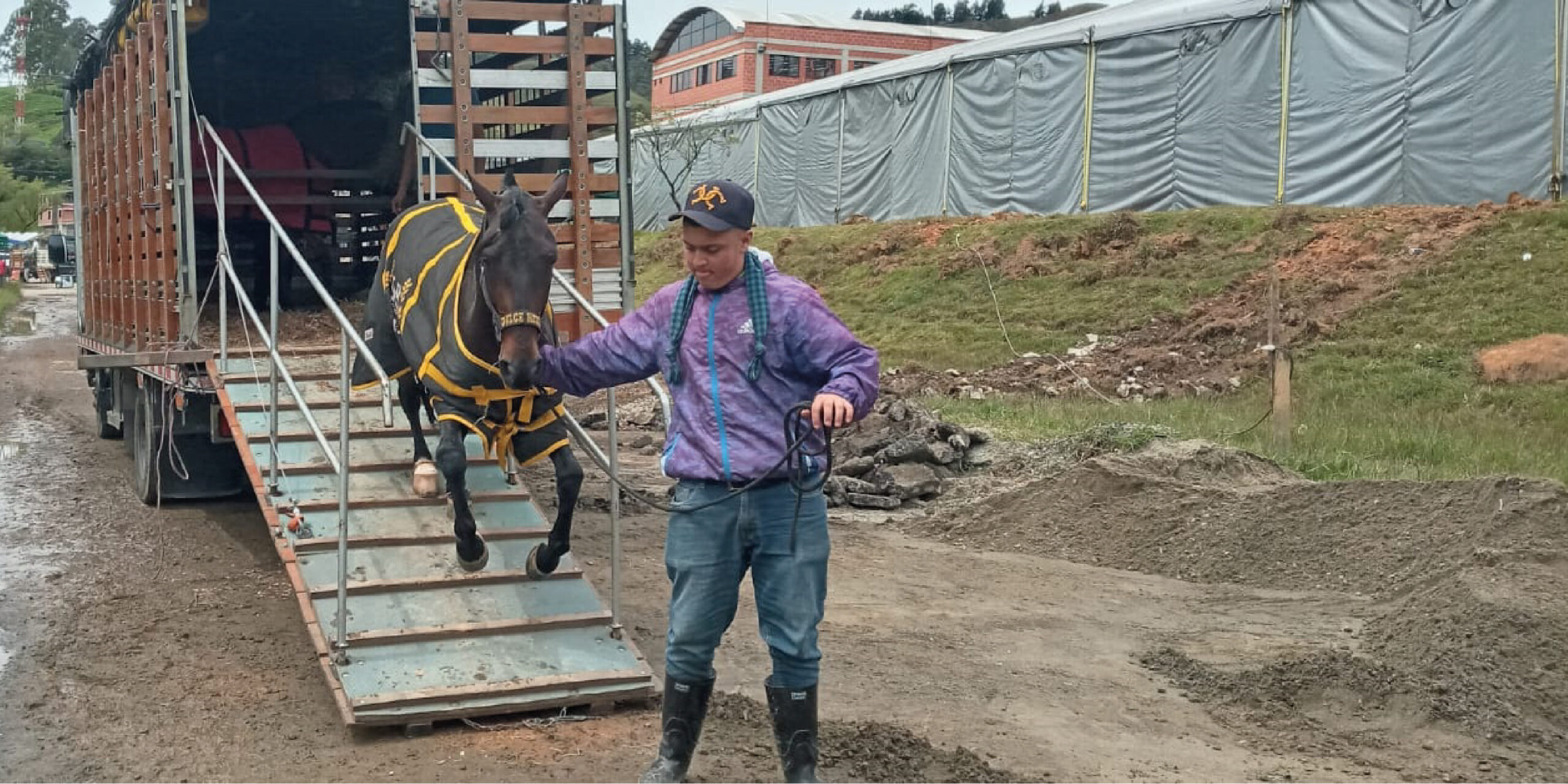 Desde hoy y hasta el domingo 5 de junio se realiza en Donmatías la octava versión del Festival Equino