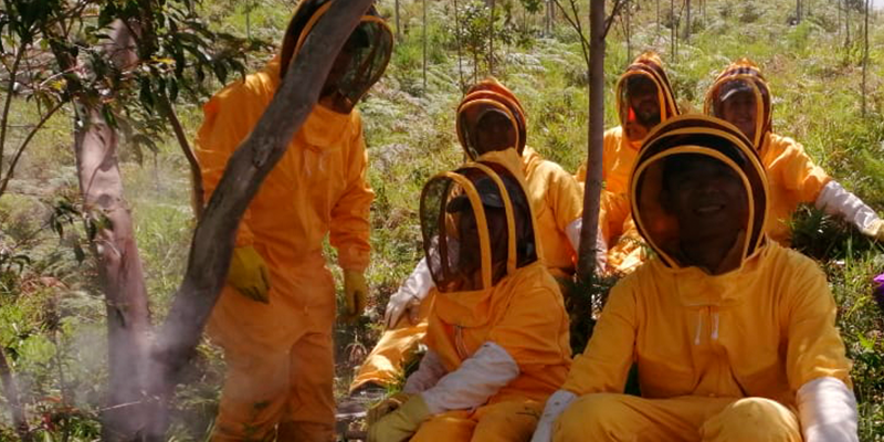 Apicultura, oportunidad para la economía de mujeres rurales en Campamento