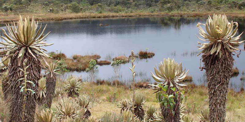 Belmira recibió reconocimiento como municipio mágico en la categoría Turismo de Naturaleza