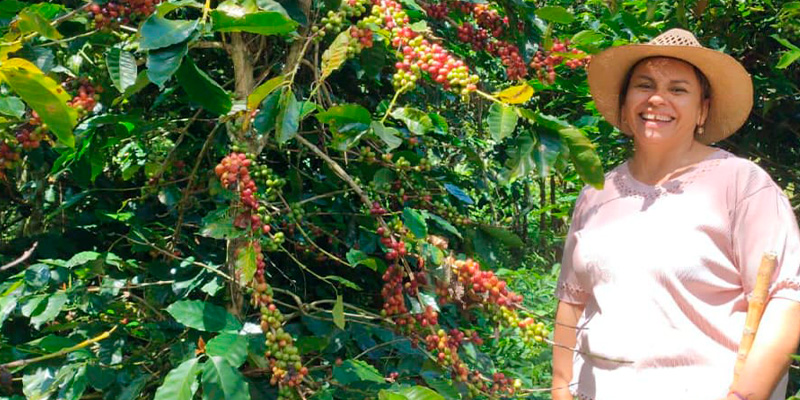Nuevo hito para la agricultura de Gómez Plata: mujeres caficultoras tendrán su propia planta de procesamiento de café.
