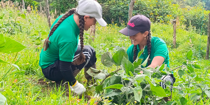 En el Corregimiento de Ovejas en San Pedro de los Milagros forman jóvenes como empresarios del campo