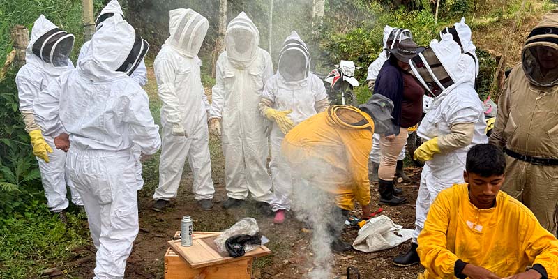 En Briceño crearon el Grupo de Rescate de Abejas; su propósito es preservar esta especie