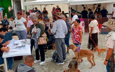 En Valdivia incrementan jornadas de esterilización para perros y gatos.