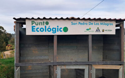 Con proyectos ambientales, 4 JAC de San Pedro ganaron convocatoria “Juntos por el Desarrollo de la Región”
