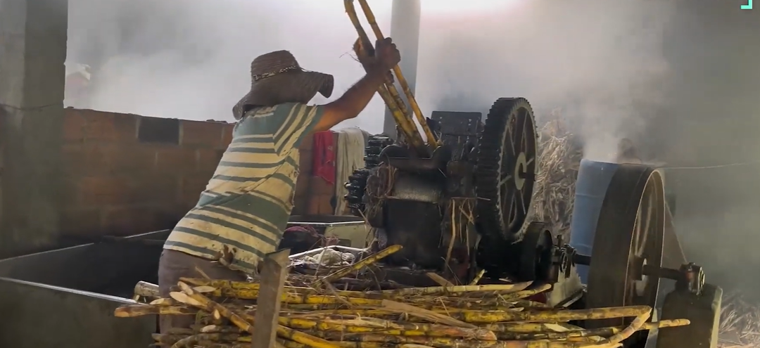 Del trapiche a las redes: la historia de un campesino que decidió nunca abandonar su trapiche.