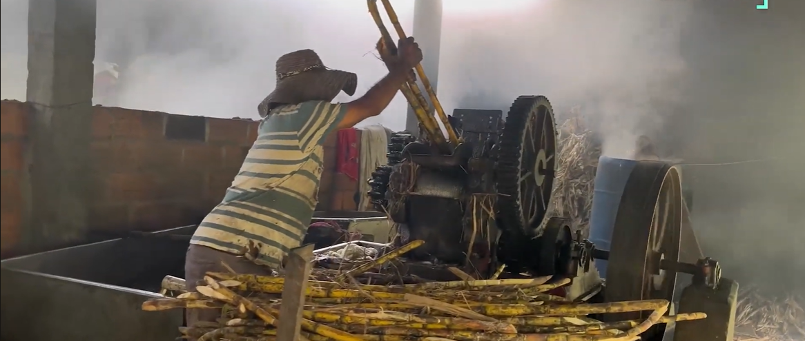 Del trapiche a las redes: la historia de un campesino que decidió nunca abandonar su trapiche.