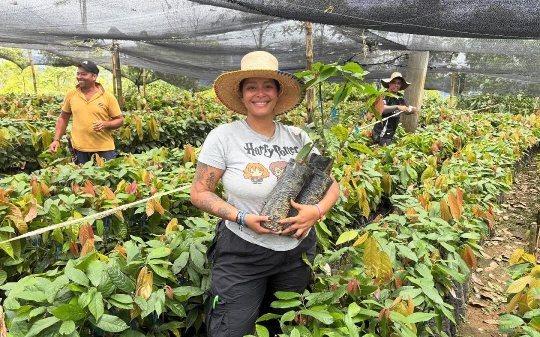 Productores de cacao de Valdivia eligieron a sus nuevos representantes.