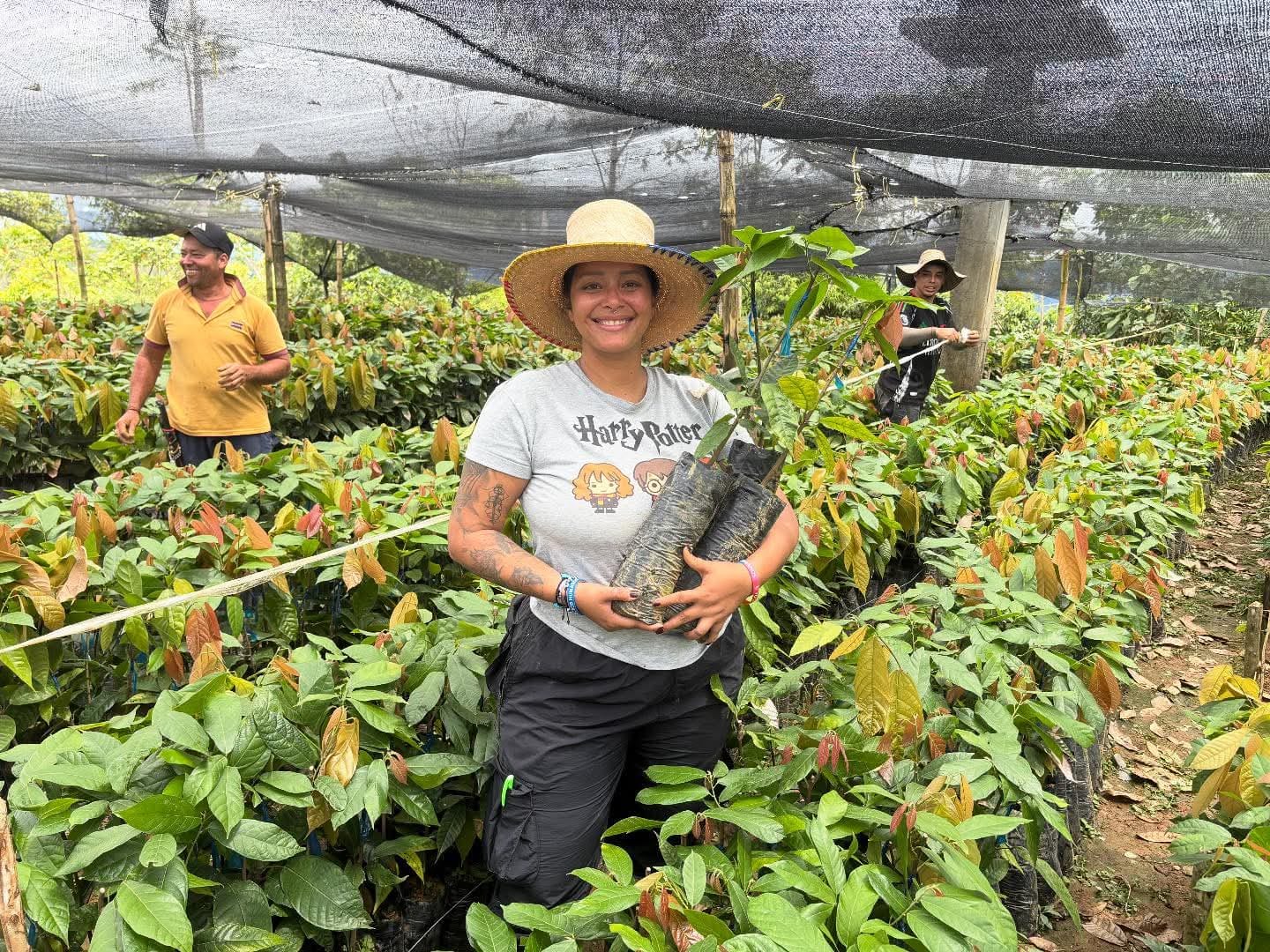 Productores de cacao de Valdivia eligieron a sus nuevos representantes.